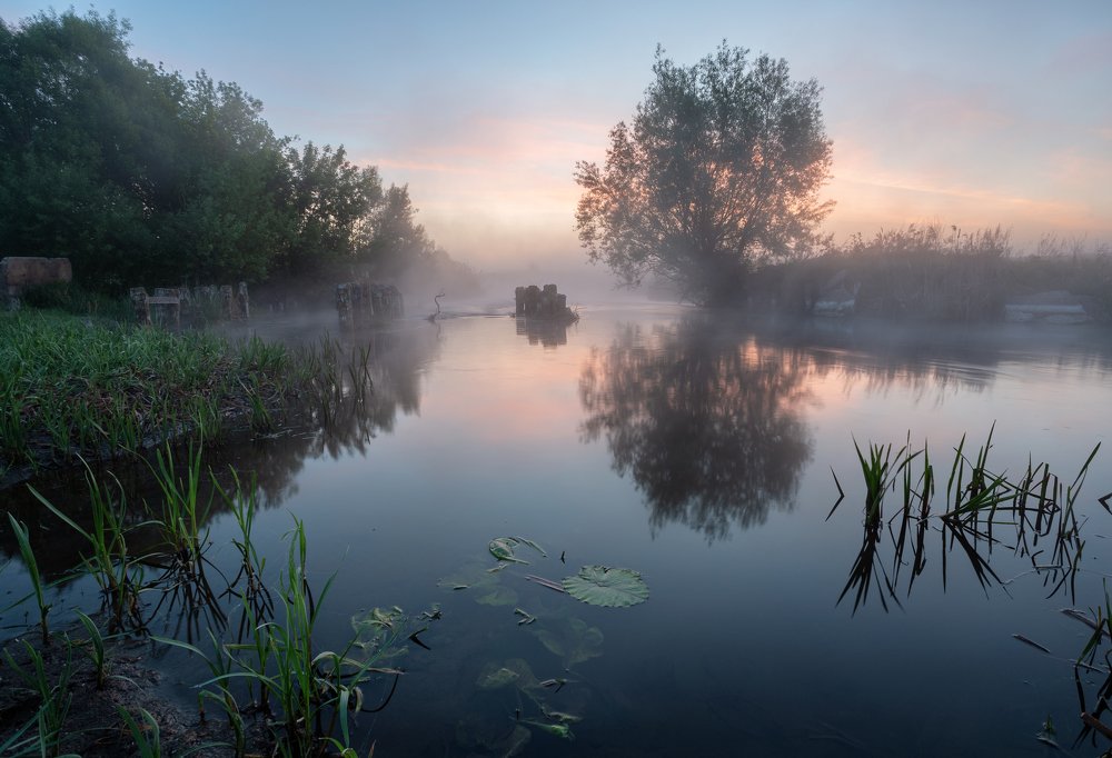 Photograph by Александр Бредихин