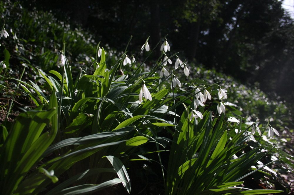 Photograph by Надежда