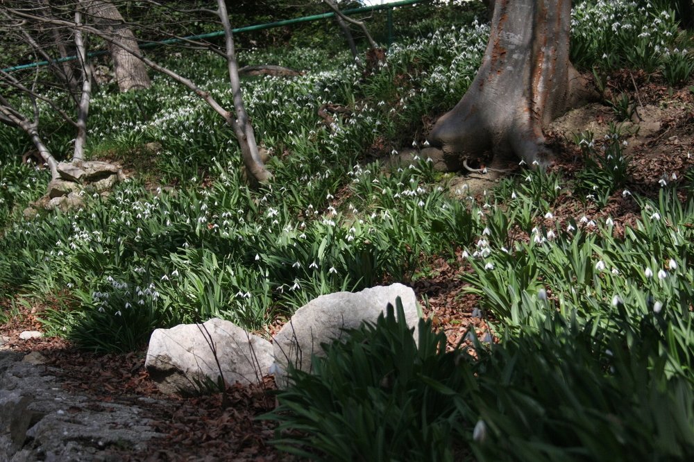 Photograph by Надежда