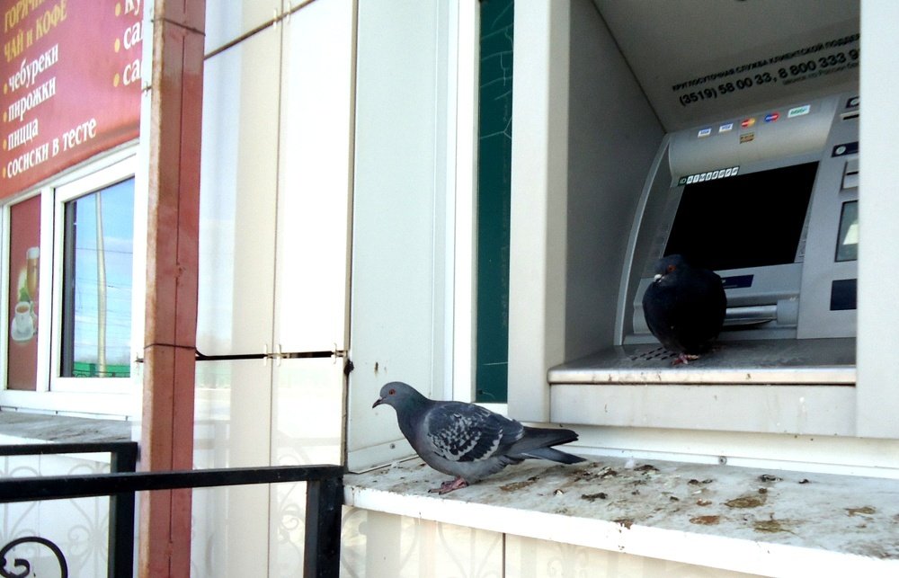 Photograph by Сергей Хвостовец