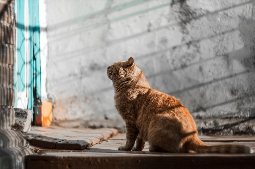 Photograph by Павел Милкин