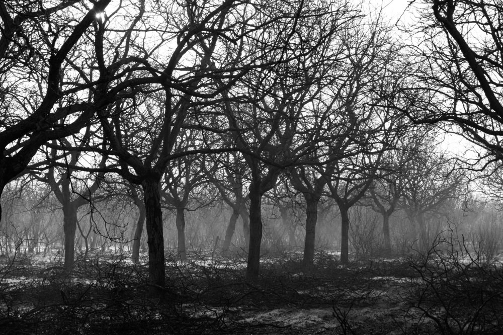 Photograph by Елизавета Калинина