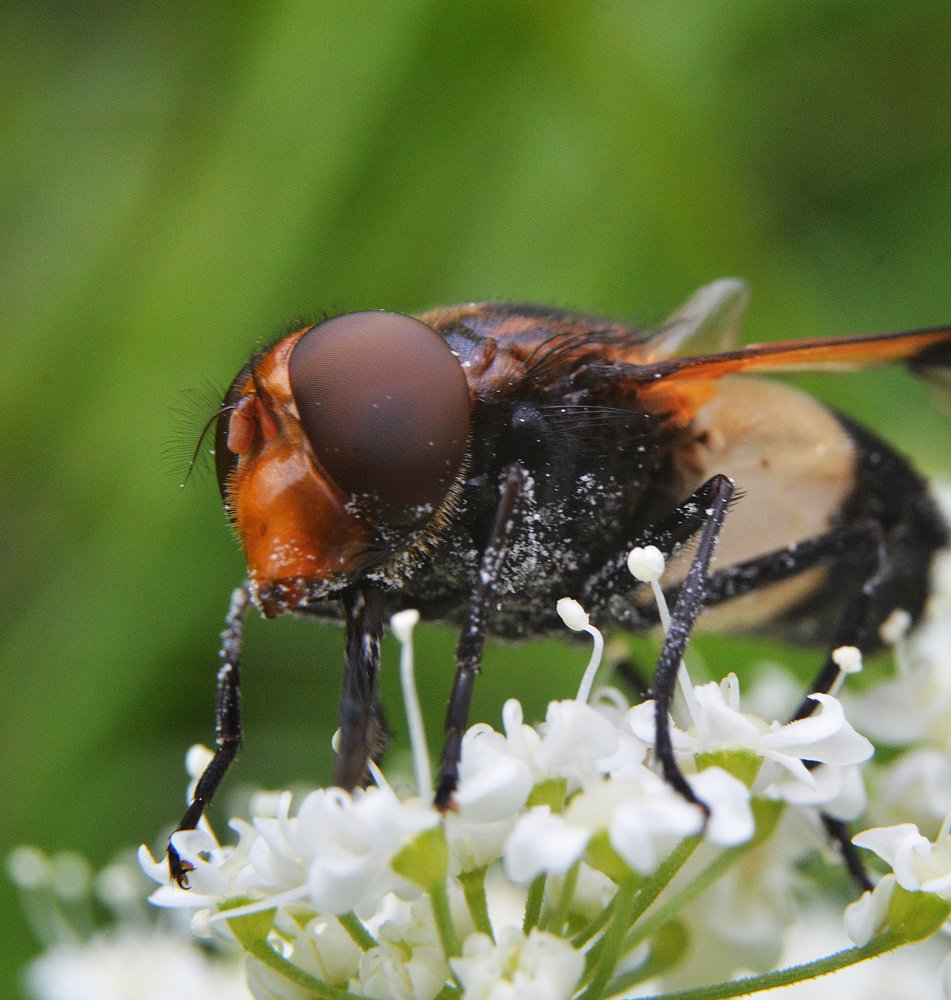Фотография автора Сергей Суворов
