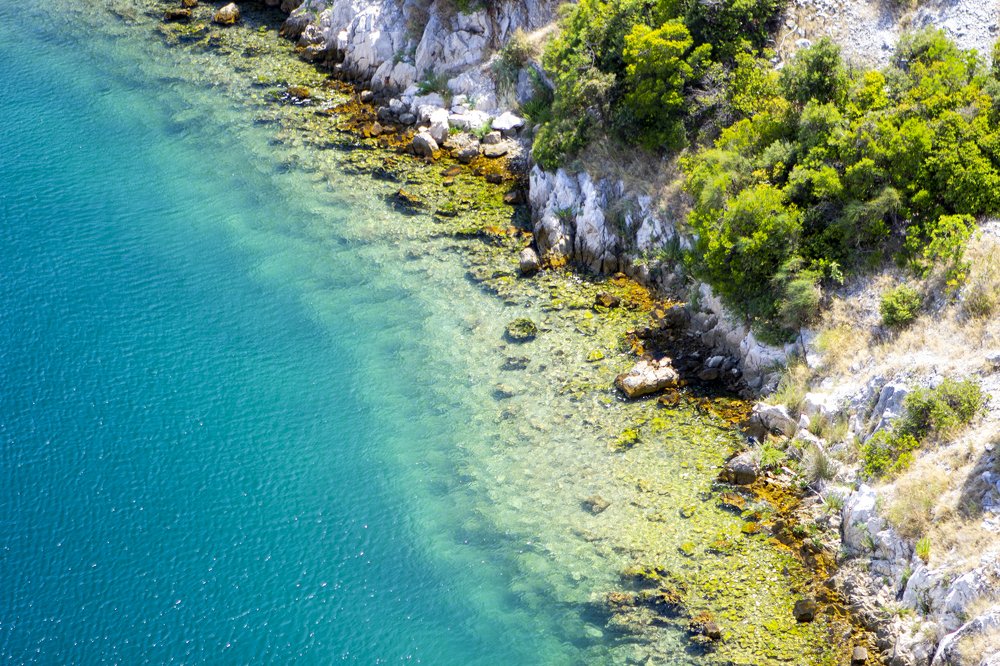 Photograph by Mihai Romeo Bogdan