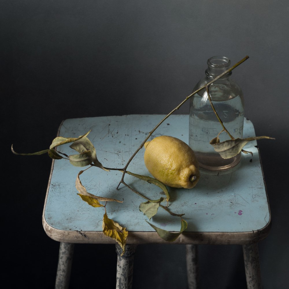 Фотография автора Елена Хазина