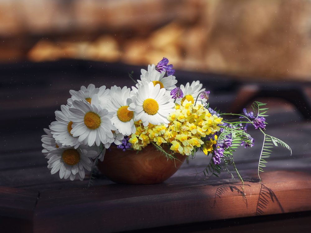 Цветы полевые