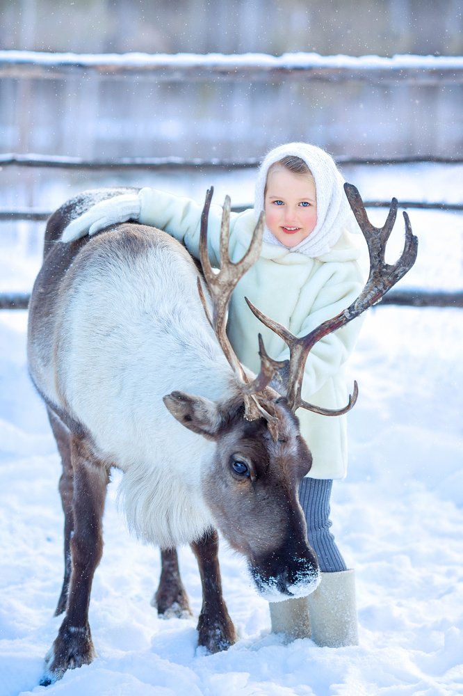 Знакомство с оленем