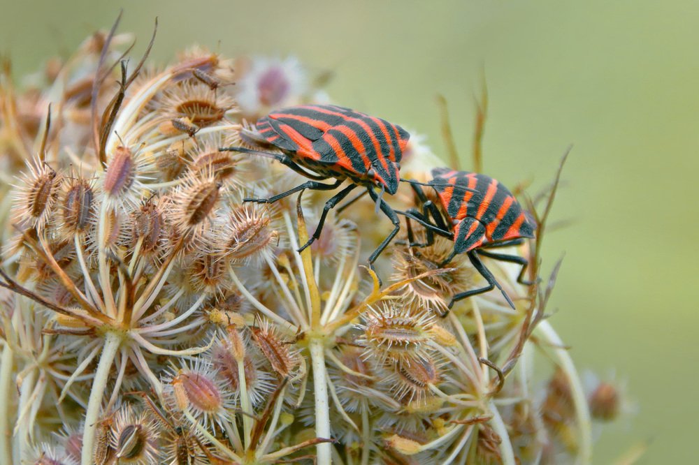 Photograph by Владимир Петрукович
