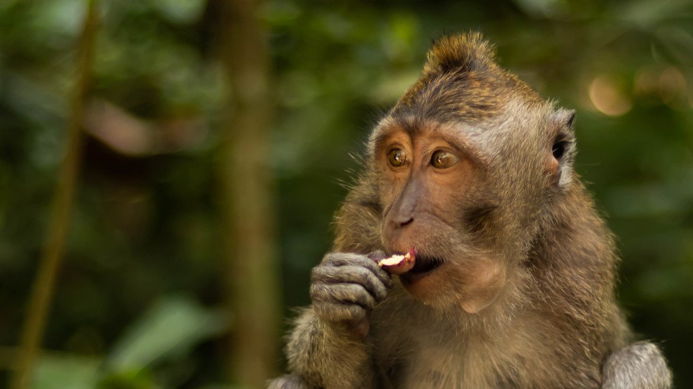 Photograph by Mostafa Khames