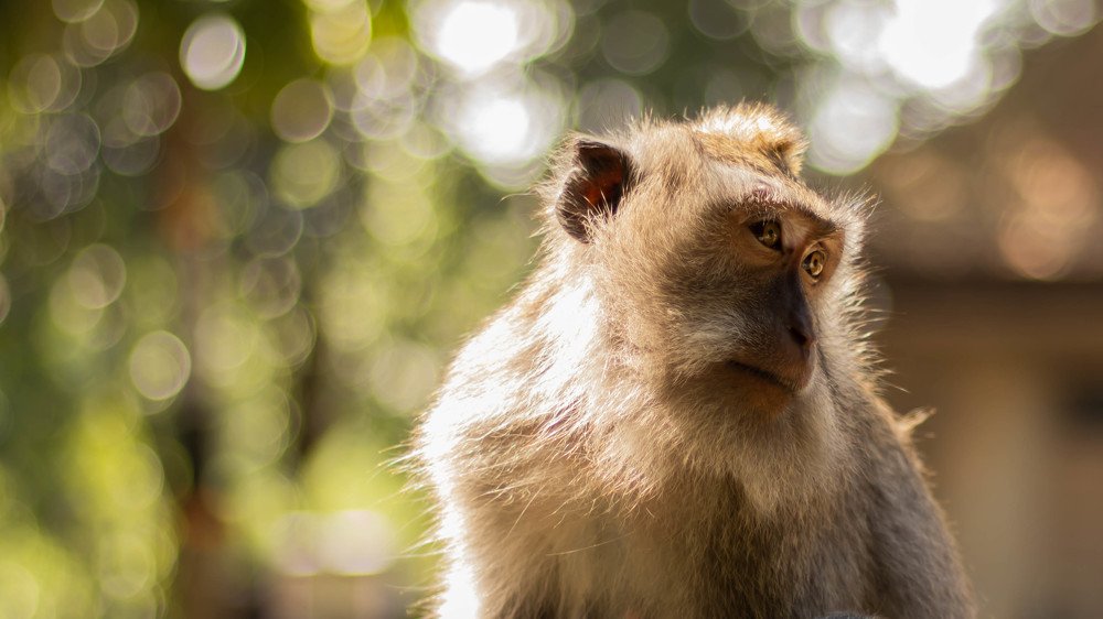 Photograph by Mostafa Khames