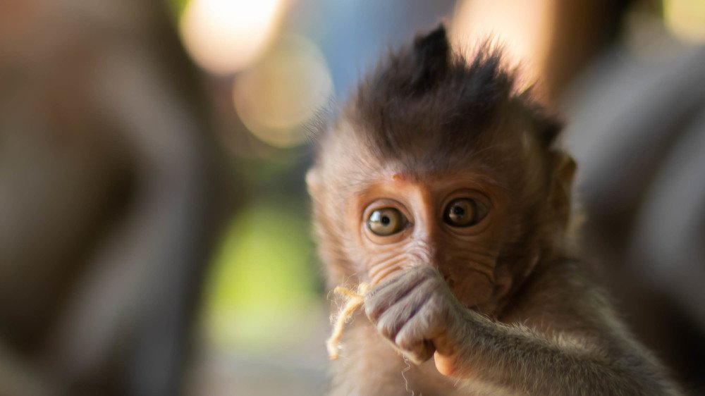 Photograph by Mostafa Khames