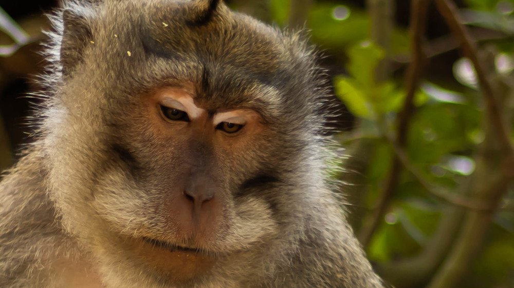 Photograph by Mostafa Khames