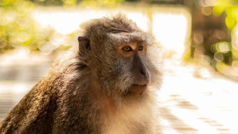 Photograph by Mostafa Khames