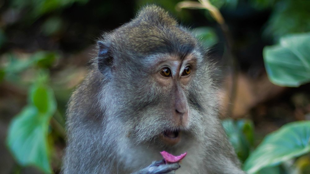 Photograph by Mostafa Khames