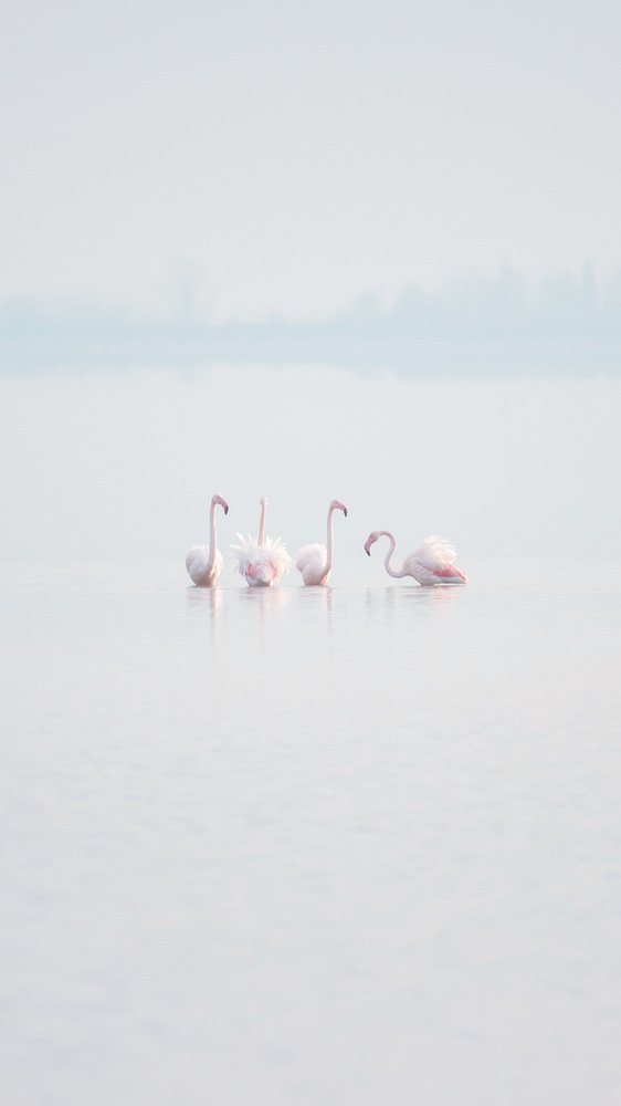 Photograph by Руслан Асанов