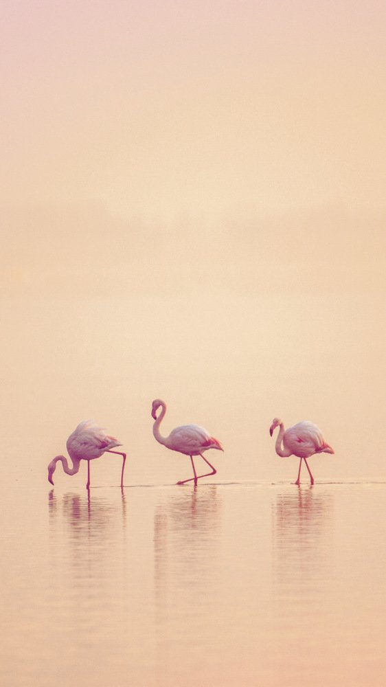 Photograph by Руслан Асанов