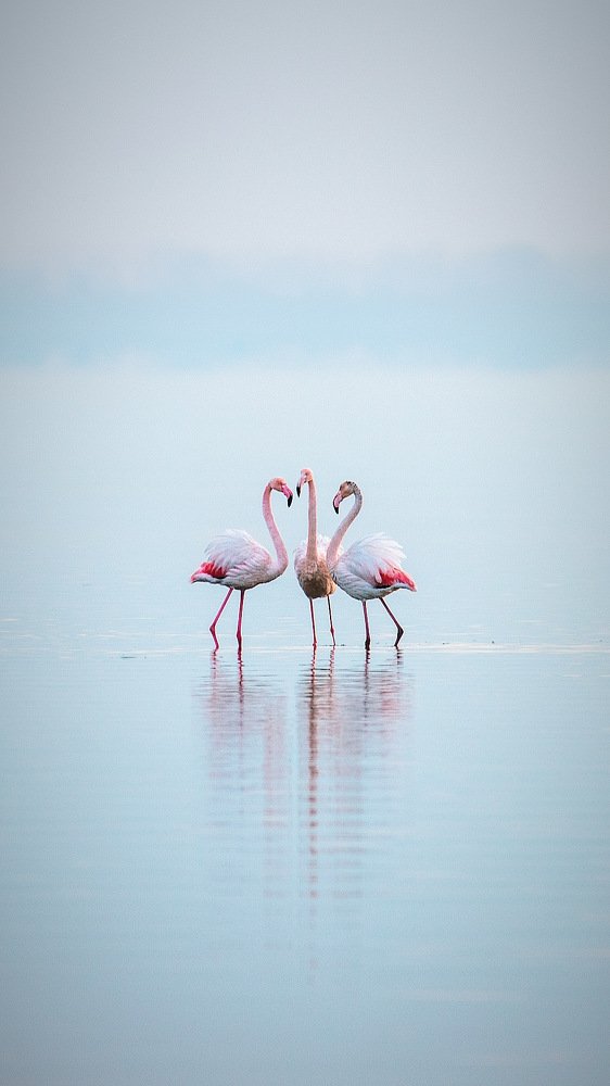 Photograph by Руслан Асанов