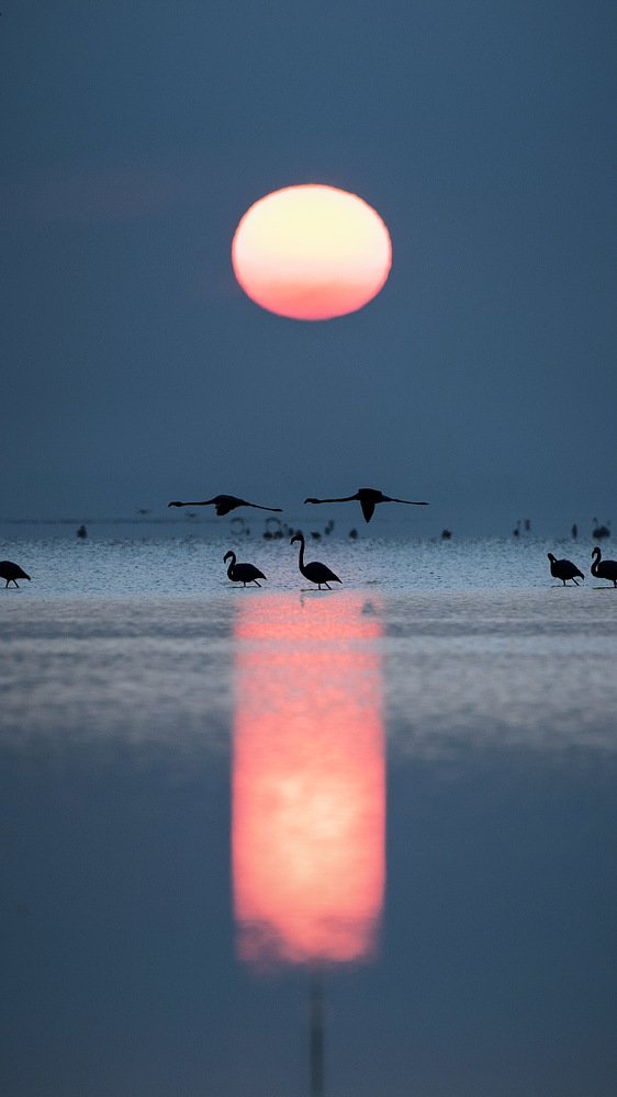 Photograph by Руслан Асанов