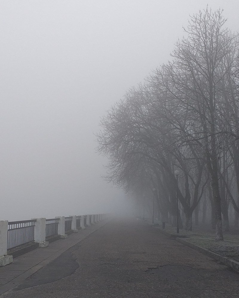 Photograph by Анна Дыбко