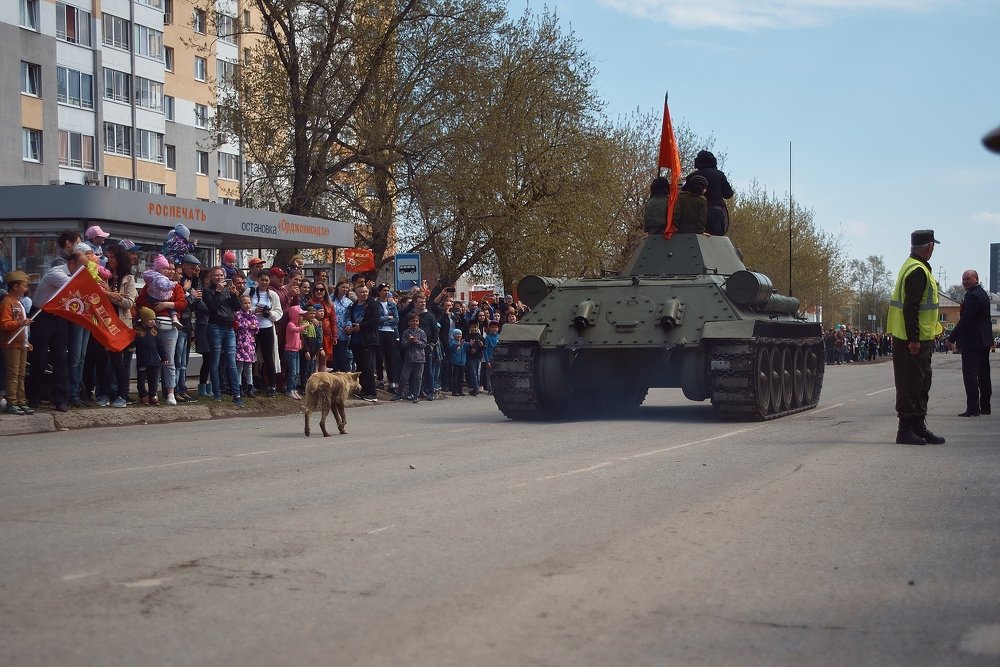 Photograph by Алексей Ушаков