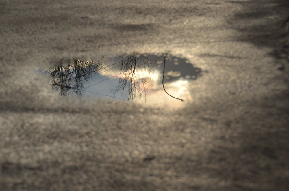 Photograph by Alena Shkurlakova