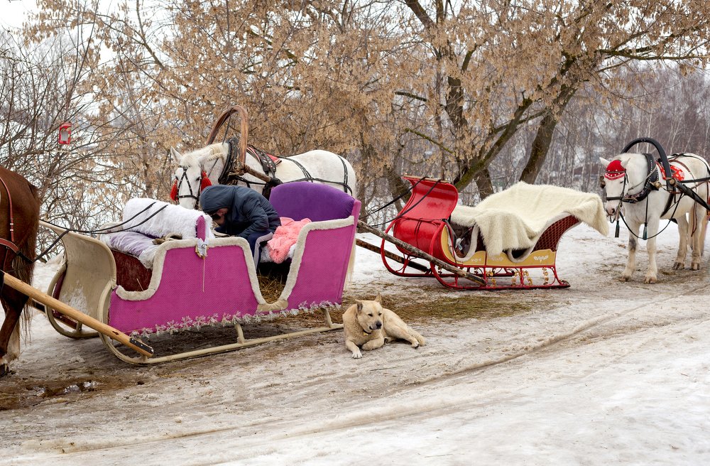 Photograph by Ирина Будагова