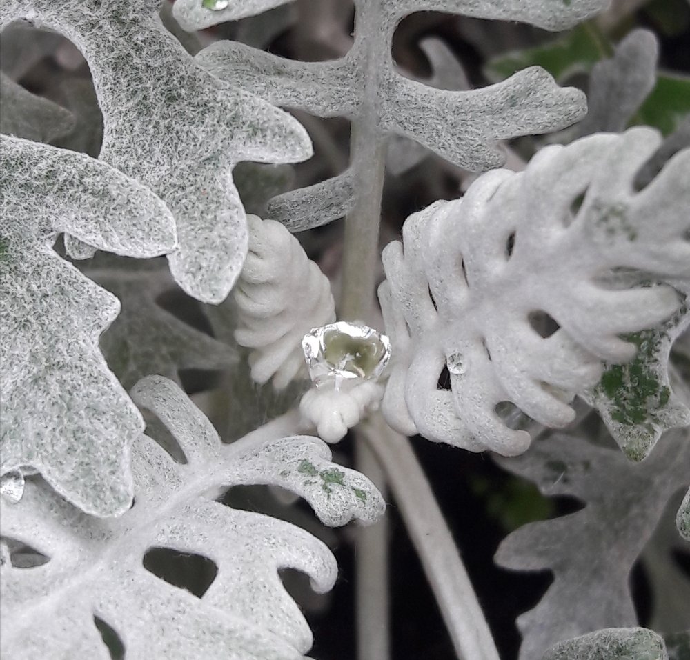 Photograph by Марина Мирошина