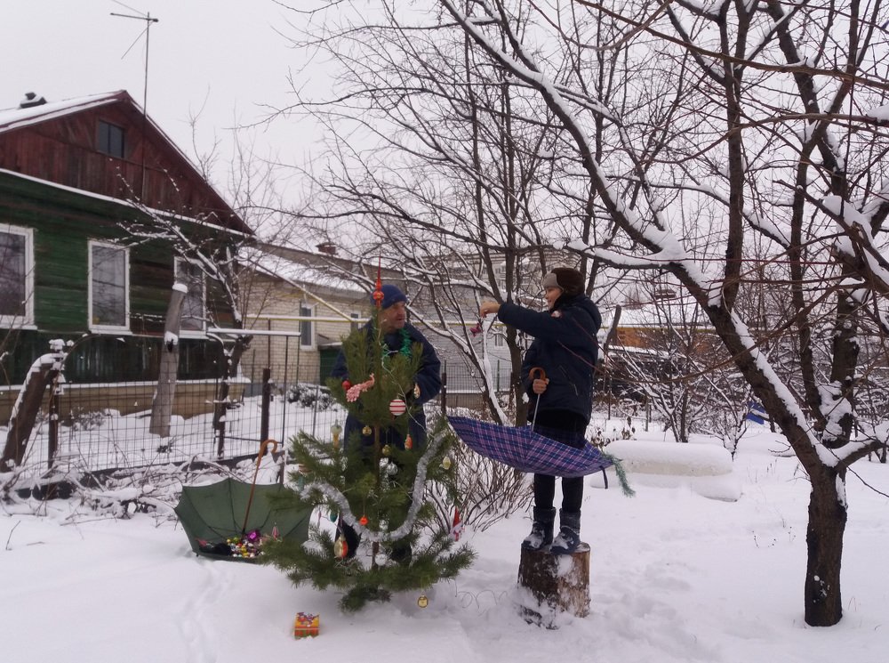 Photograph by Елена Ланина