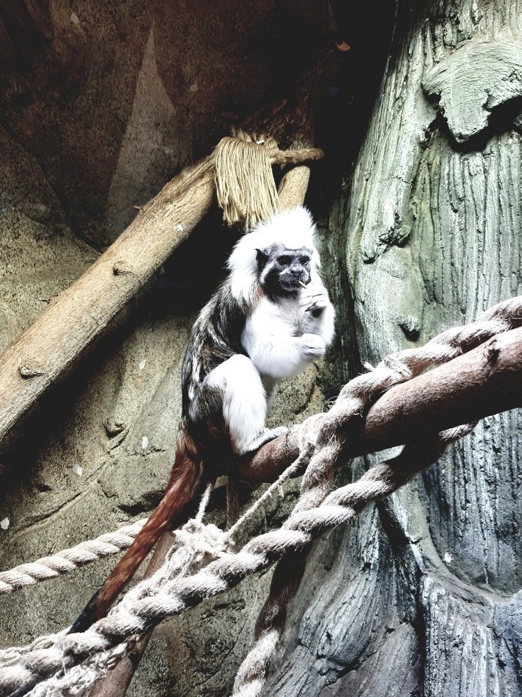 Фотография автора Борисова Мария