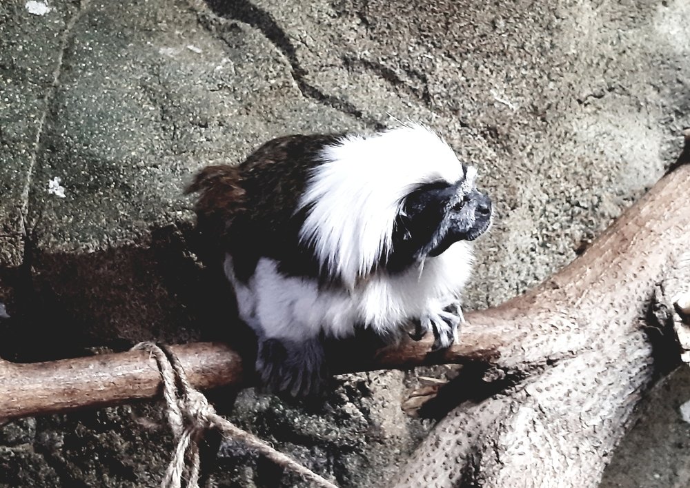 Фотография автора Борисова Мария