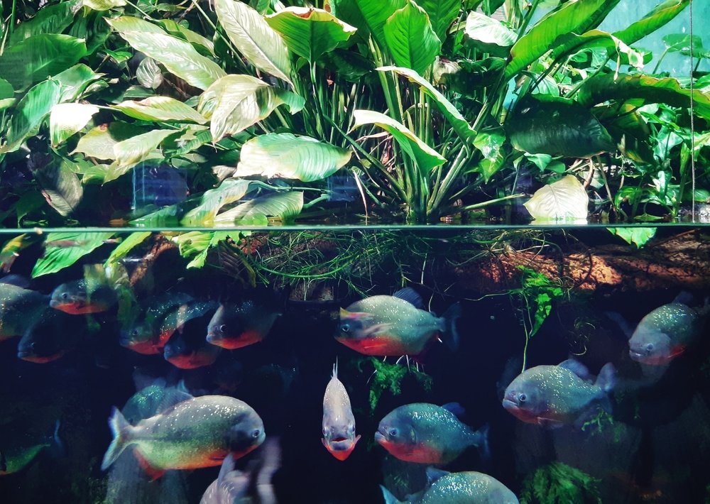 Photograph by Татьяна Кротова