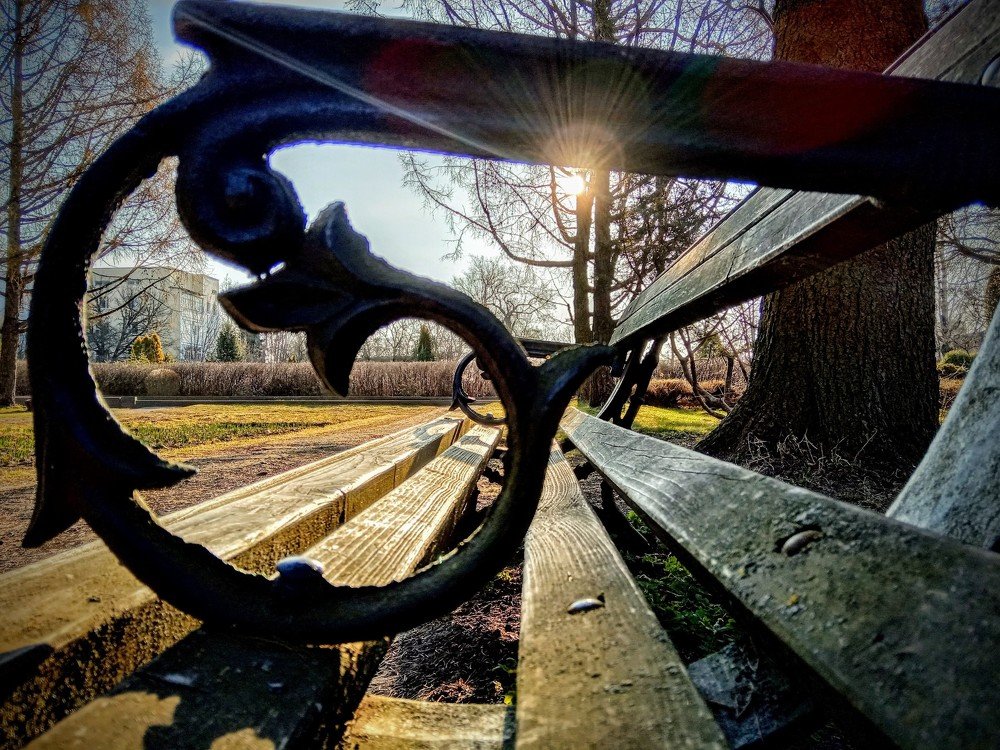 Весенняя прогулка в парке.