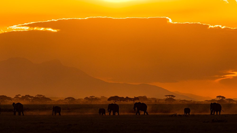 Фотография автора Ashok Behera