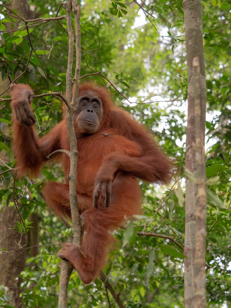 Photograph by Photons Reflectitur