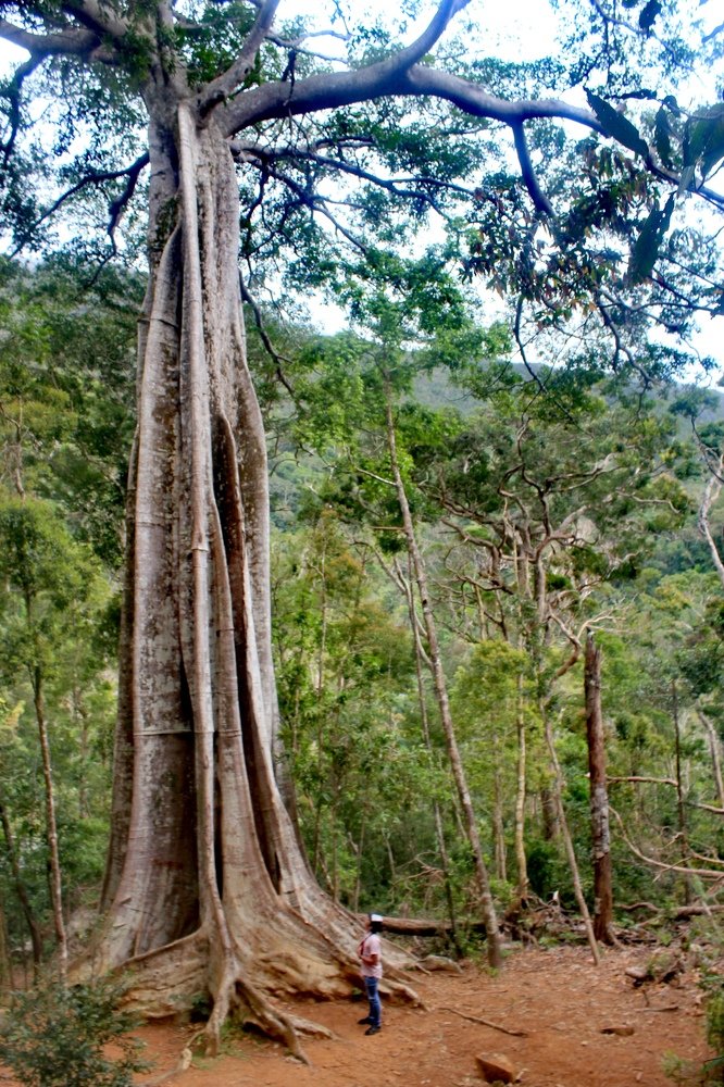 Photograph by Eugene Balneg