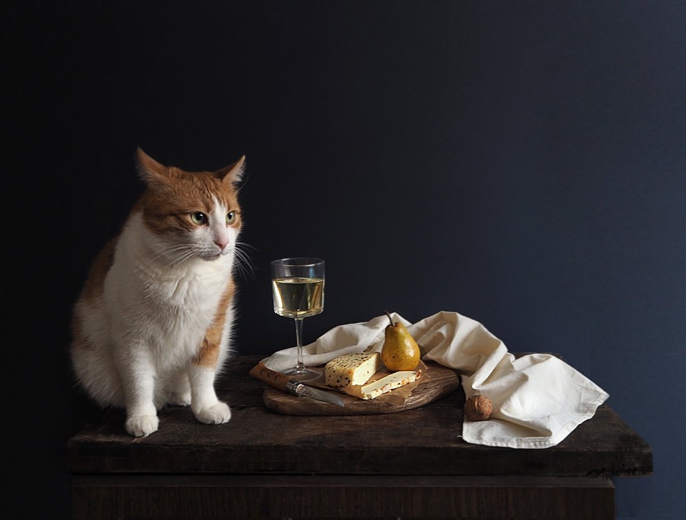 Натюрморт с котом и сыром