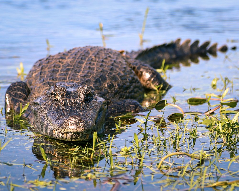Photograph by Emiliano Rinaldi