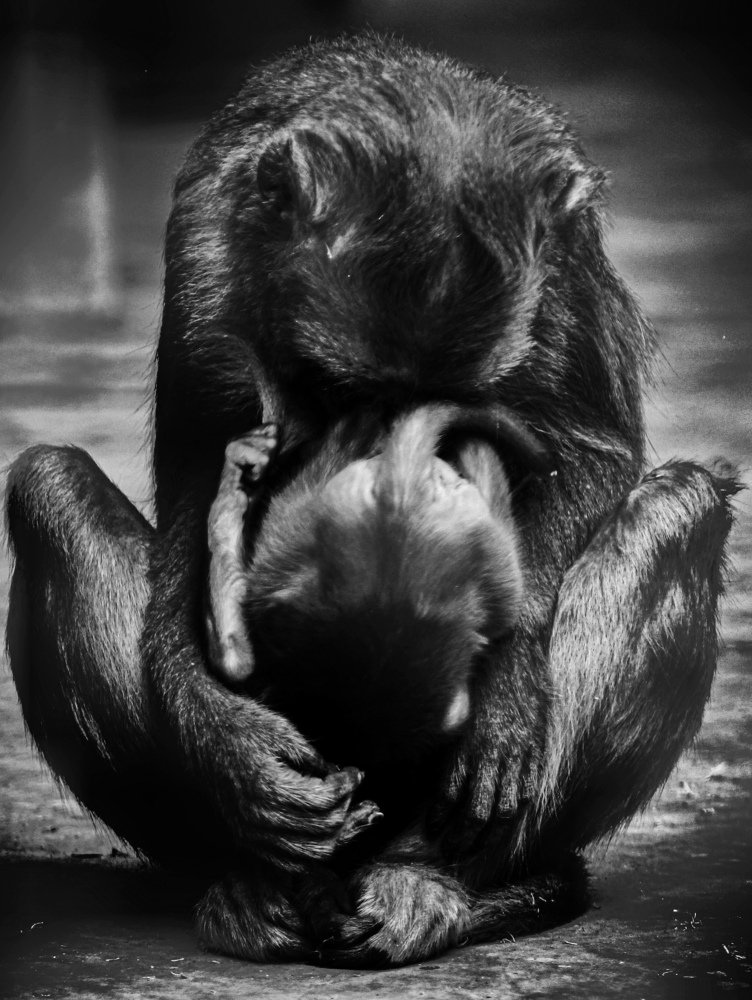 Фотография автора sandeep patel