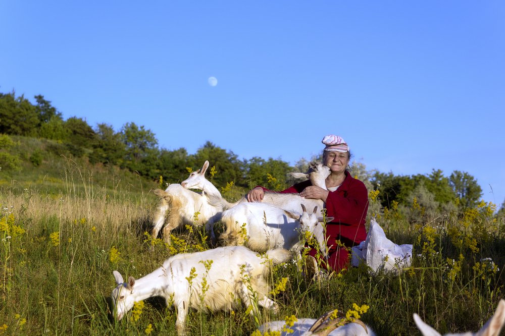 Photograph by Юрий Беляев