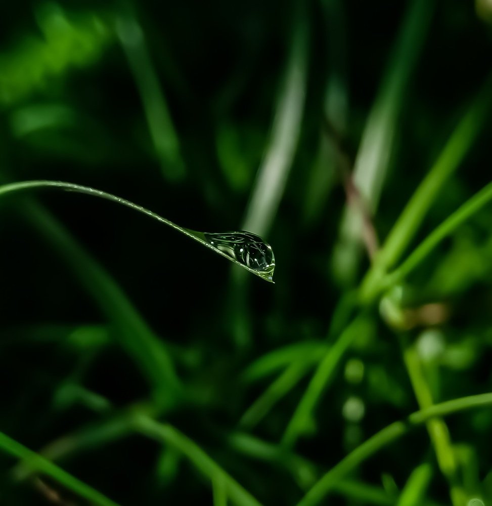 Photograph by Nipun Hennayaka