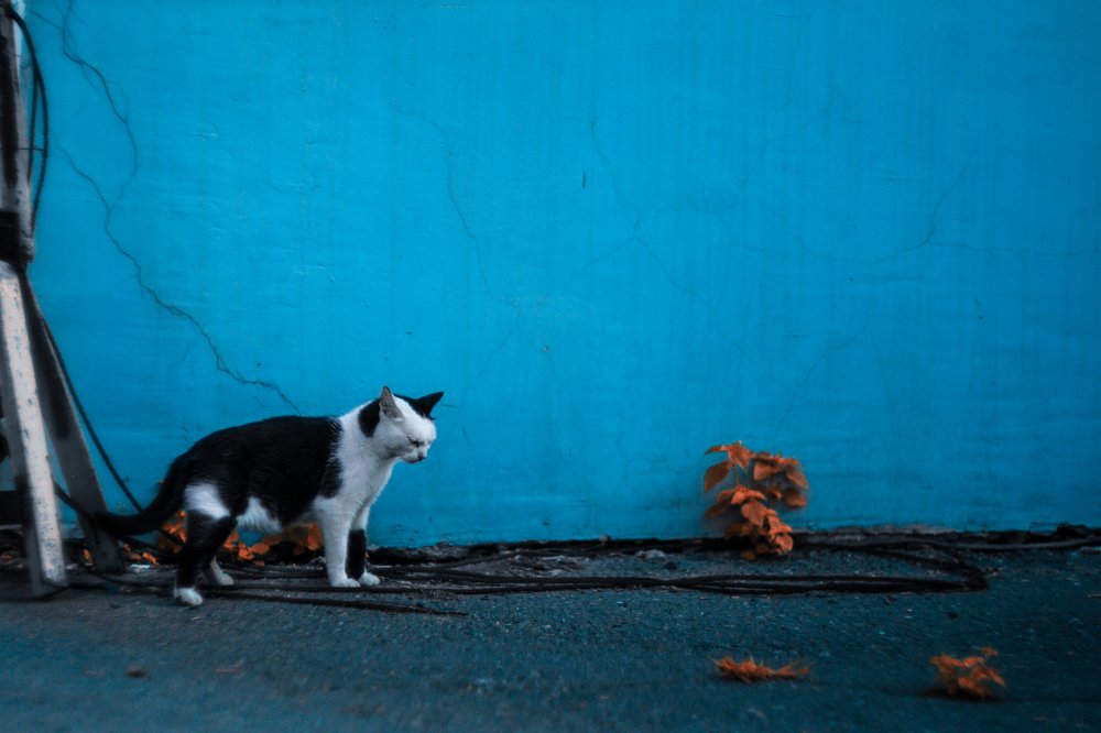 Photograph by Павел Милкин