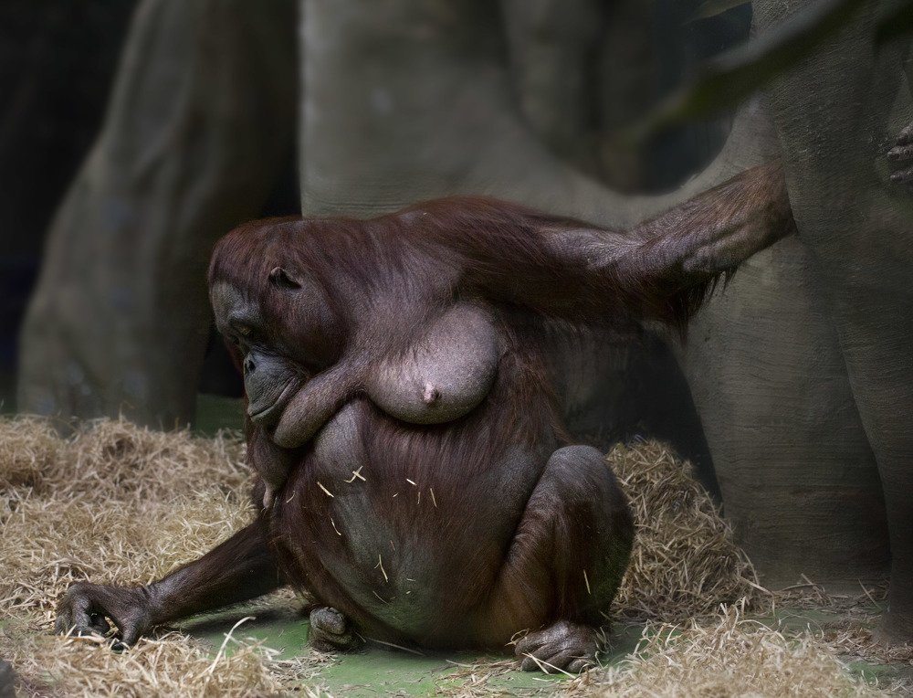 Фотография автора Анна Вигера