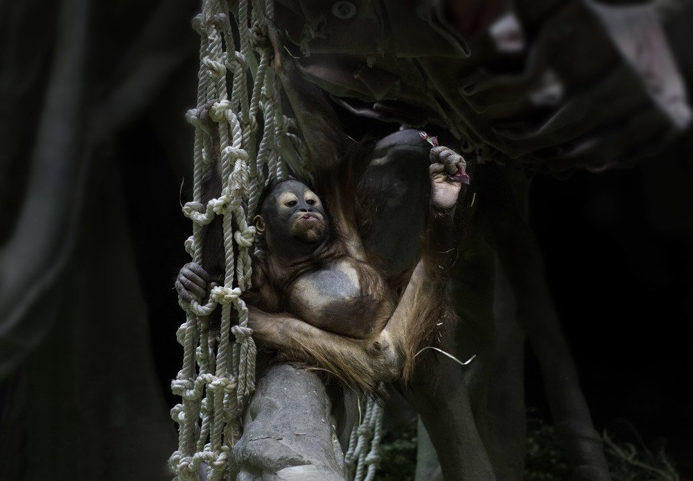 Фотография автора Анна Вигера