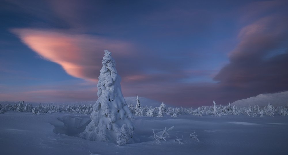 Photograph by Владислав Костылев