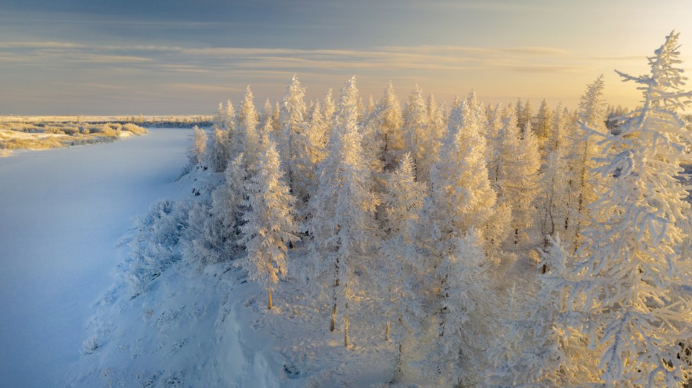 Фотография автора евгений митрошин