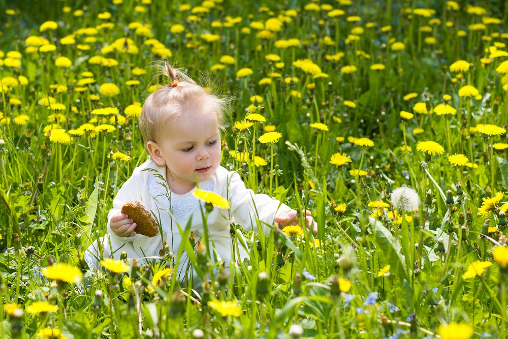 Photograph by Оксана Плугатарева