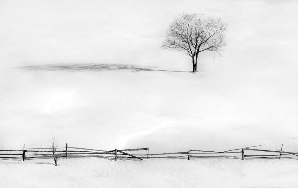 Photograph by Popescu Cezar Gabriel