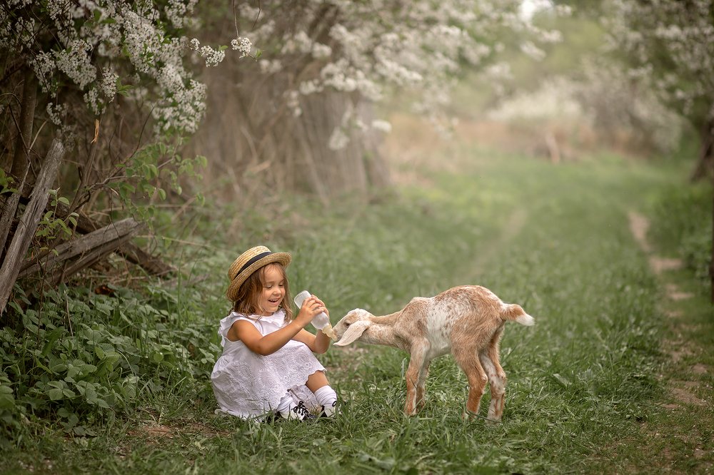 Photograph by Сидорова Ирина