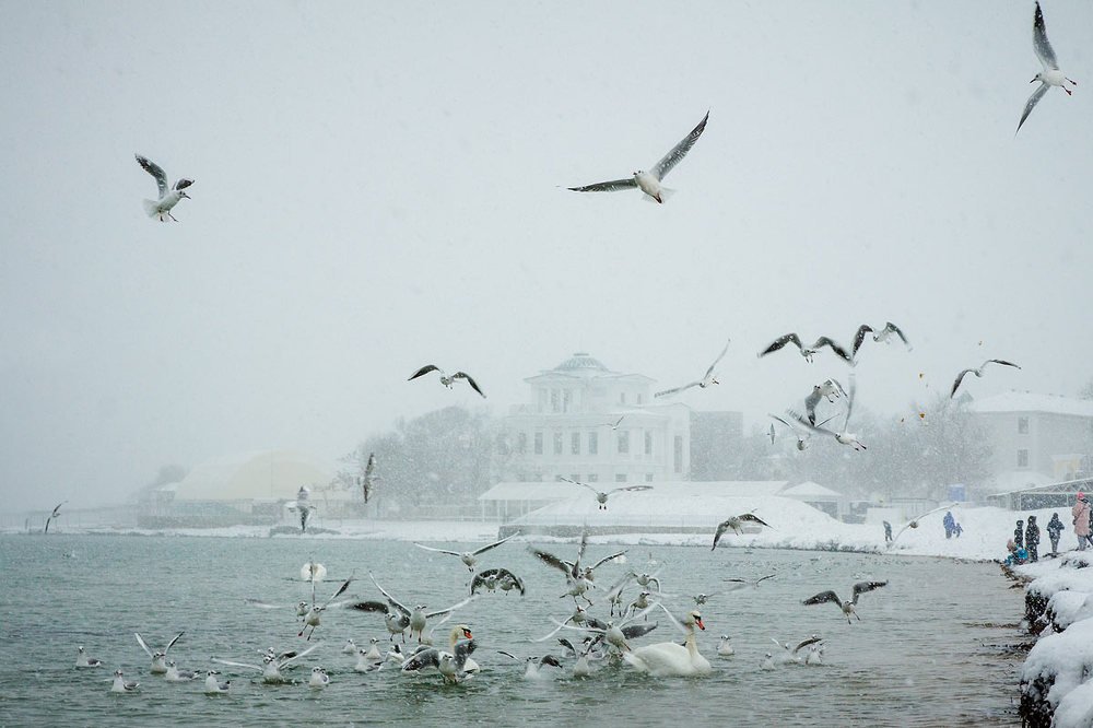 Photograph by Елена Покрепа