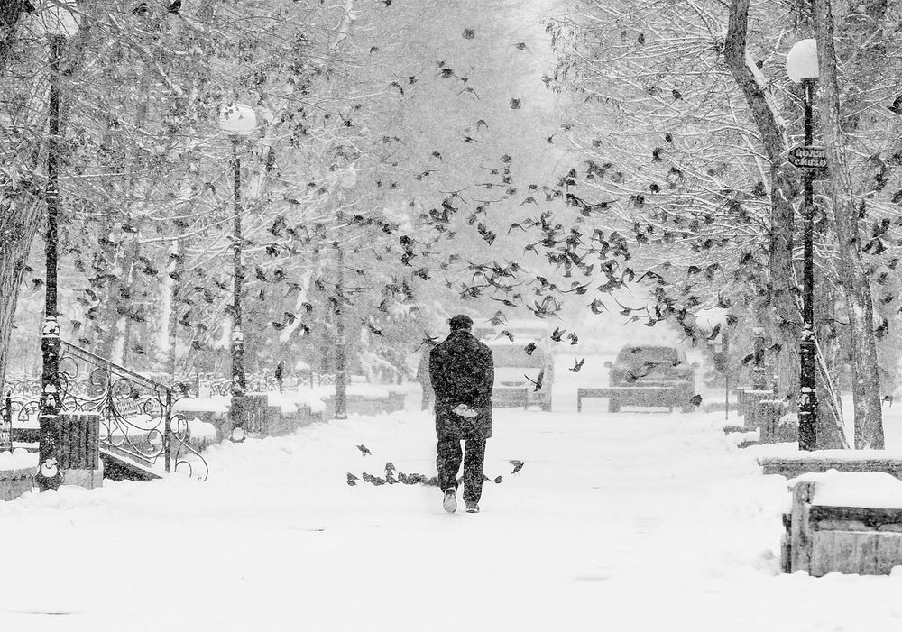 Photograph by Елена Покрепа